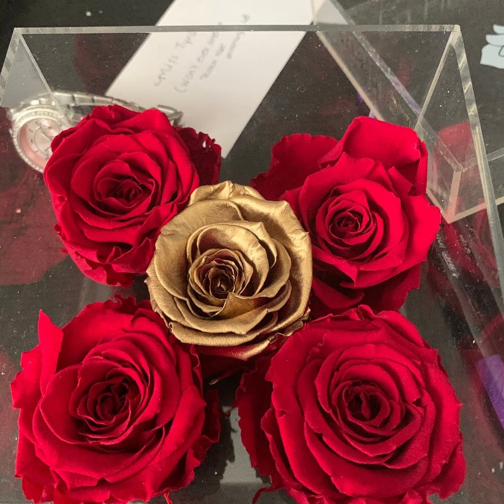 La Fleur everlasting roses (3-5 yrs)